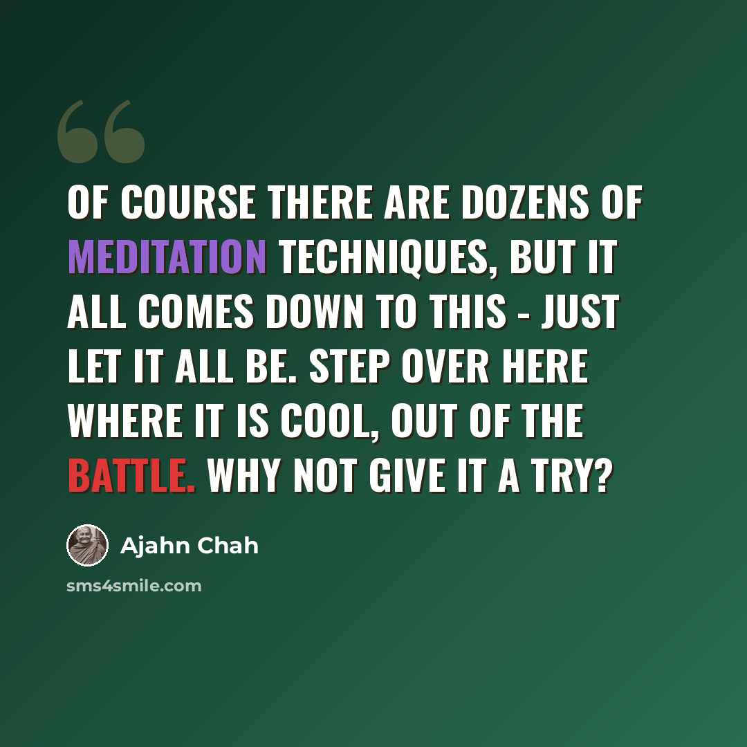 “Of course there are dozens of meditation techniques, but it all comes down to this - just let it all be. Step over here where it is cool, out of the battle. Why not give it a try?” quote by Ajahn Chah