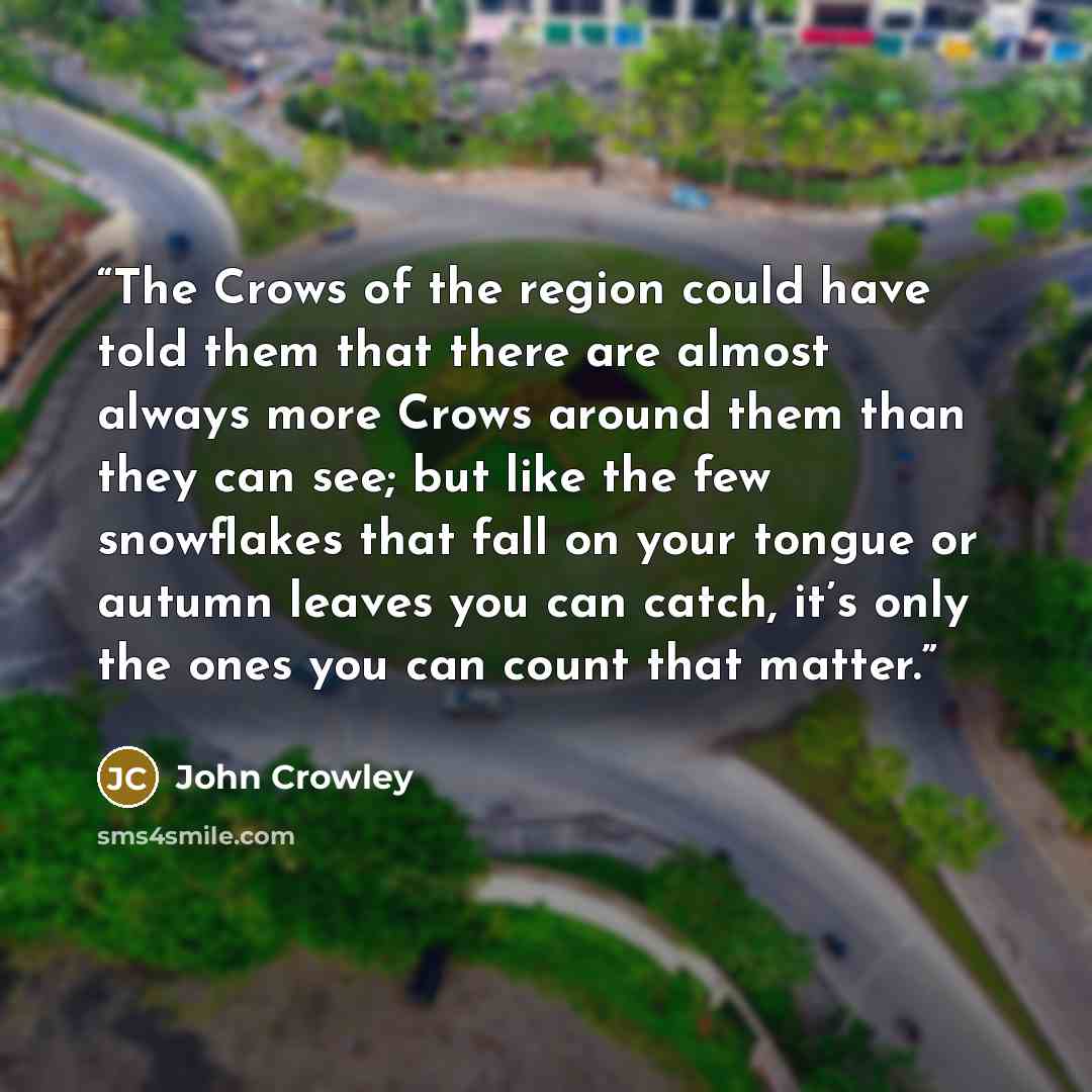 “The Crows of the region could have told them that there are almost always more Crows around them than they can see; but like the few snowflakes that fall on your tongue or autumn leaves you can catch, it’s only the ones you can count that matter.” quote by John Crowley