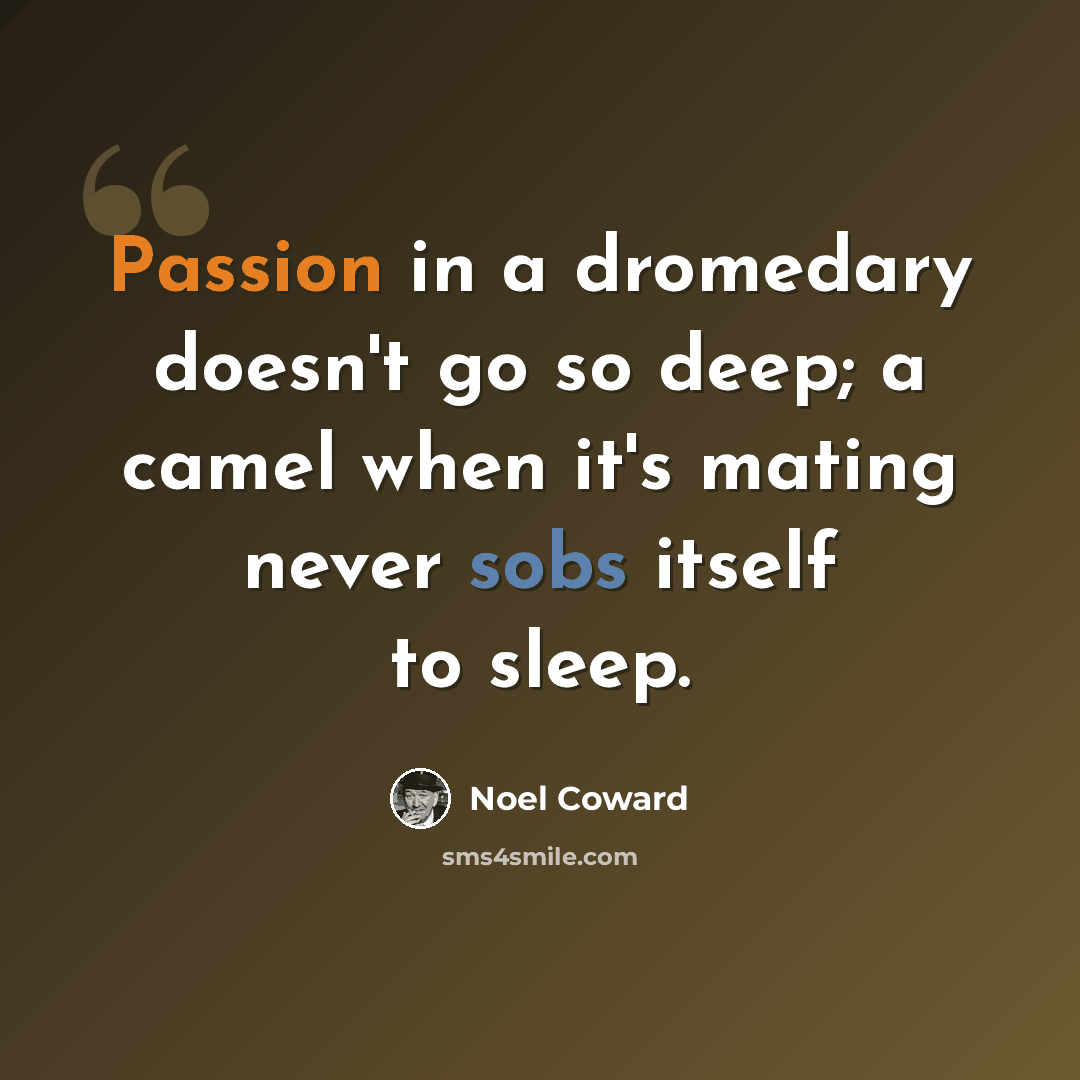 “Passion in a dromedary doesn't go so deep; a camel when it's mating never sobs itself to sleep.” quote by Noel Coward
