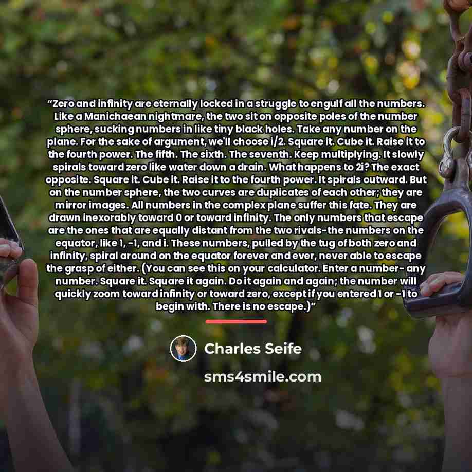 “Zero and infinity are eternally locked in a struggle to engulf all the numbers. Like a Manichaean nightmare, the two sit on opposite poles of the number sphere, sucking numbers in like tiny black holes. Take any number on the plane. For the sake of argument, we'll choose i/2. Square it. Cube it…” quote by Charles Seife