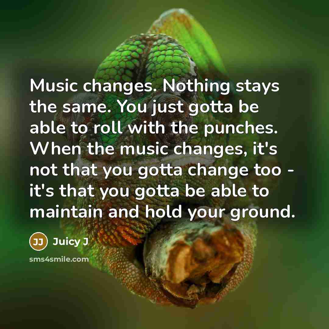 “Music changes. Nothing stays the same. You just gotta be able to roll with the punches. When the music changes, it's not that you gotta change too - it's that you gotta be able to maintain and hold your ground.” quote by Juicy J