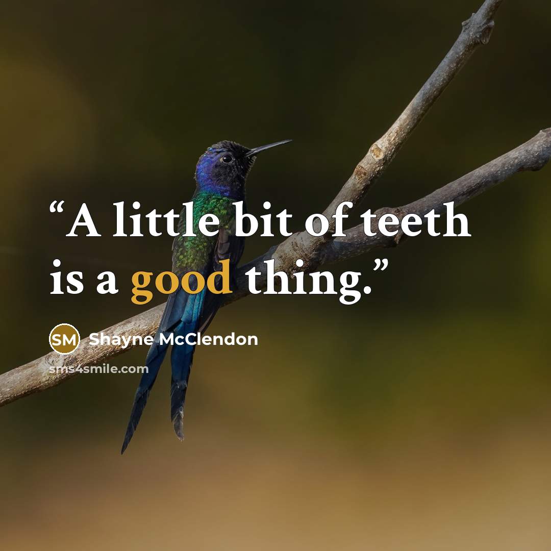 “A little bit of teeth is a good thing.” quote by Shayne McClendon