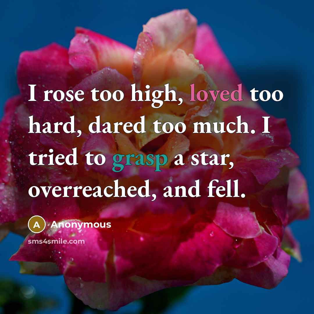 “I rose too high, loved too hard, dared too much. I tried to grasp a star, overreached, and fell.” quote by Anonymous