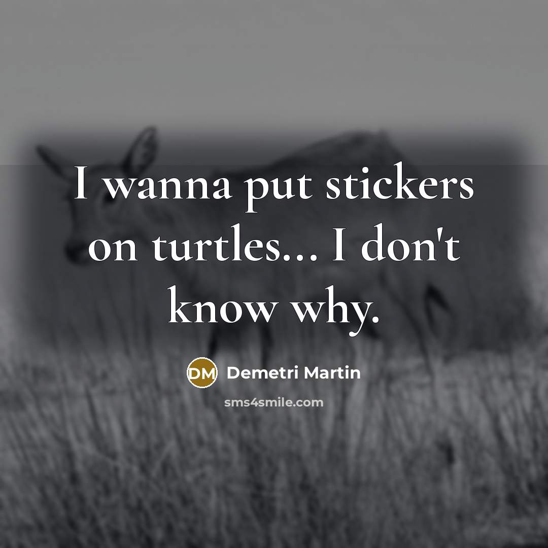 “I wanna put stickers on turtles... I don't know why.” quote by Demetri Martin