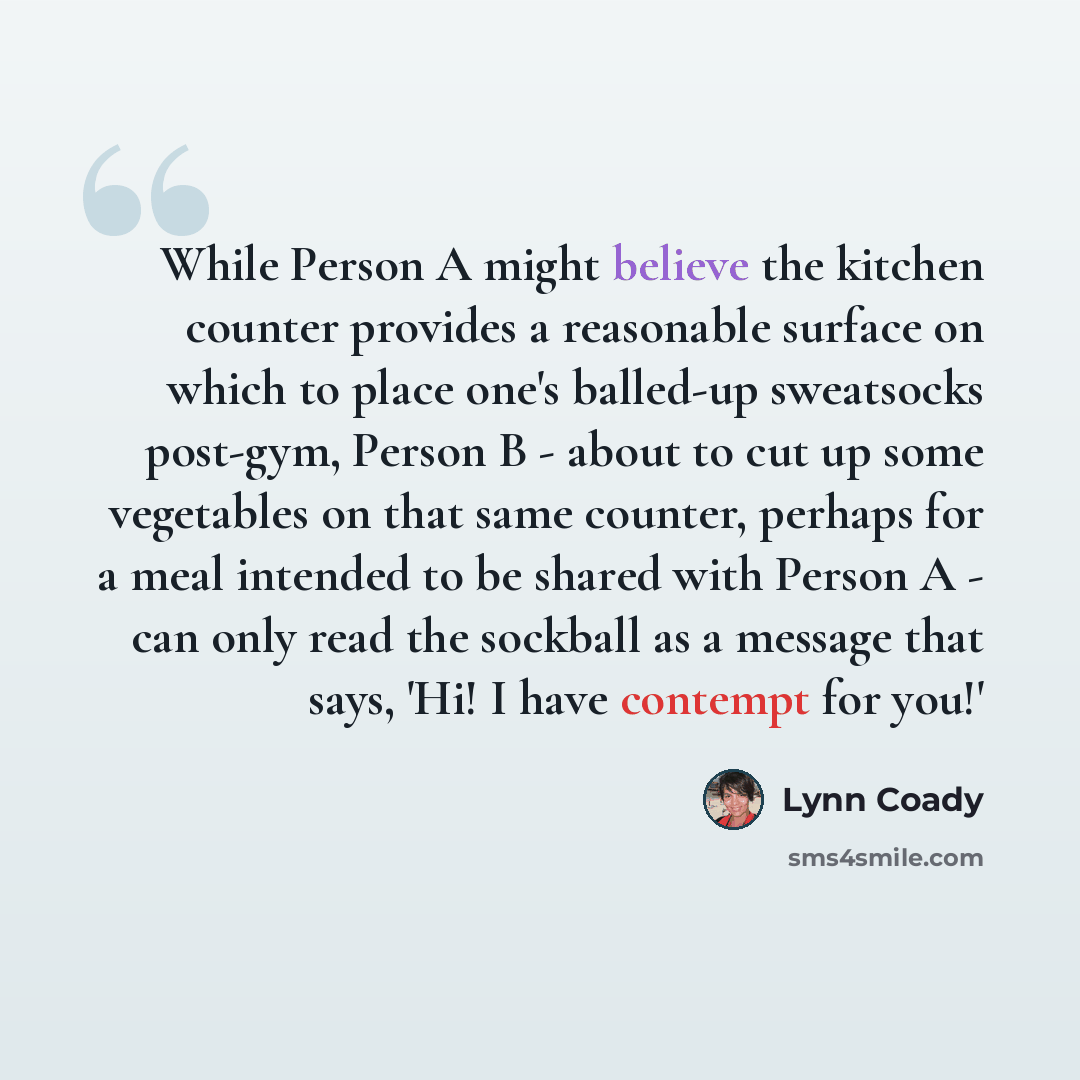 “While Person A might believe the kitchen counter provides a reasonable surface on which to place one's balled-up sweatsocks post-gym, Person B - about to cut up some vegetables on that same counter, perhaps for a meal intended to be shared with Person A - can only read the sockball as a message…” quote by Lynn Coady