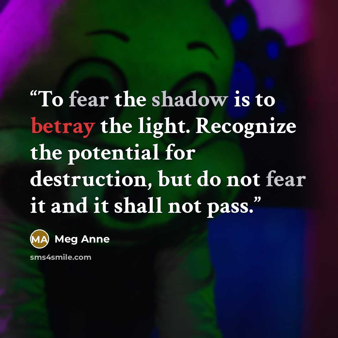“To fear the shadow is to betray the light. Recognize the potential for destruction, but do not fear it and it shall not pass.” quote by Meg Anne
