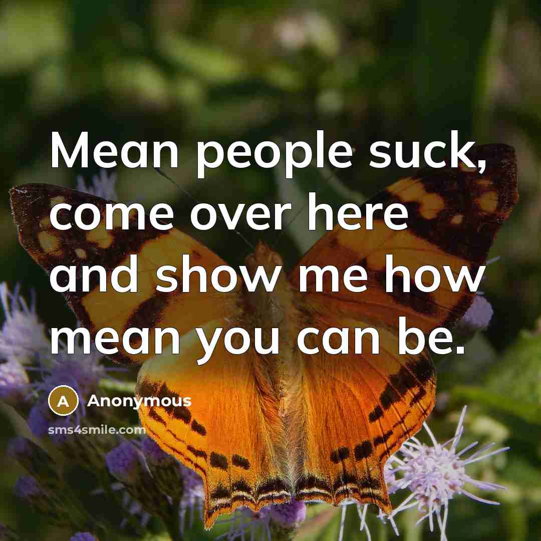 “Mean people suck, come over here and show me how mean you can be.” quote by Anonymous