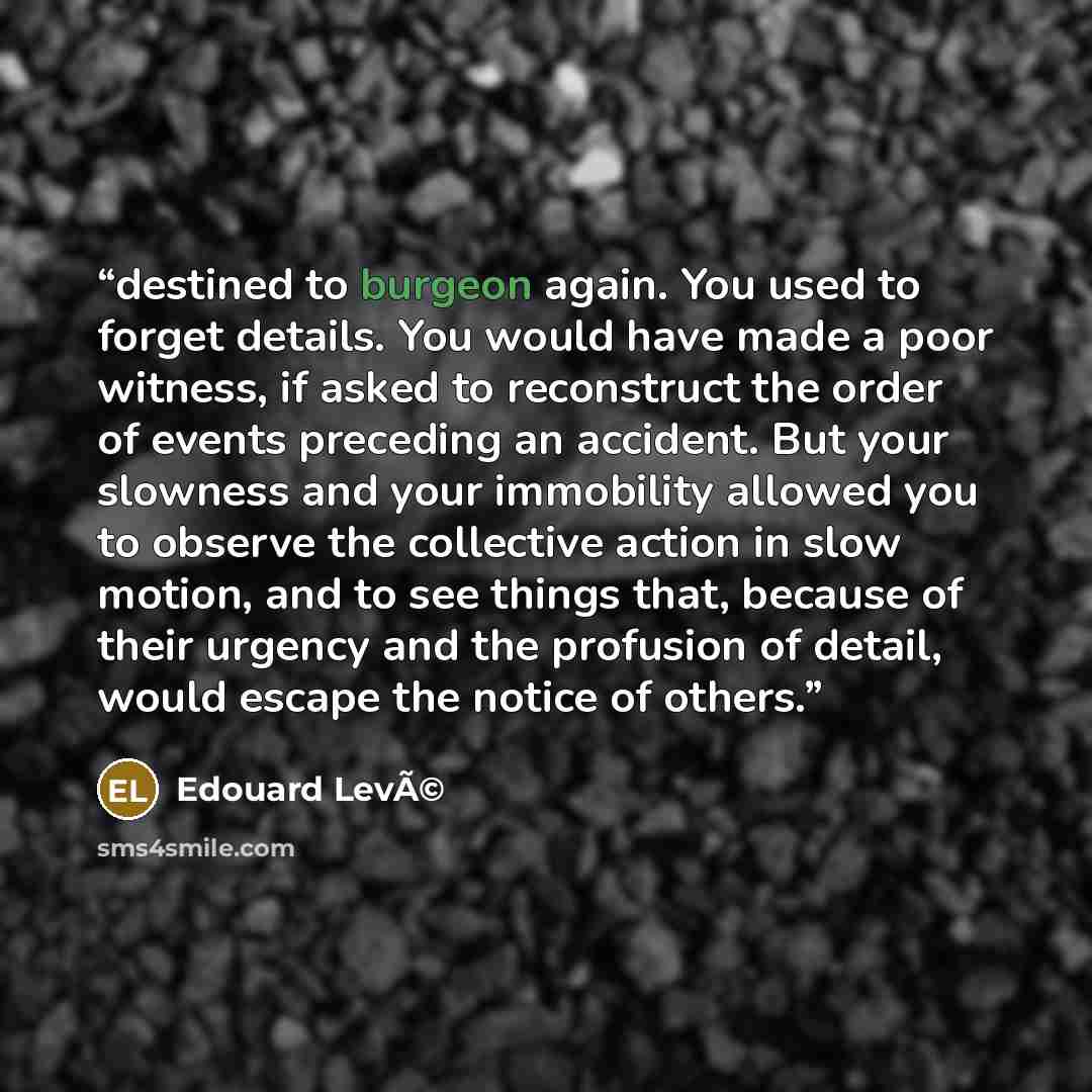 “destined to burgeon again. You used to forget details. You would have made a poor witness, if asked to reconstruct the order of events preceding an accident. But your slowness and your immobility allowed you to observe the collective action in slow motion, and to see things that, because of their…” quote by Edouard LevÃ©