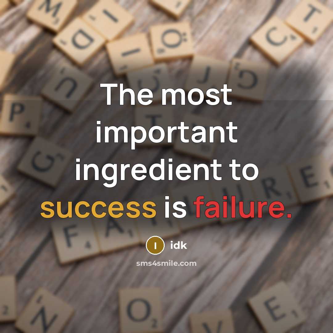 “The most important ingredient to success is failure.” quote by Idk
