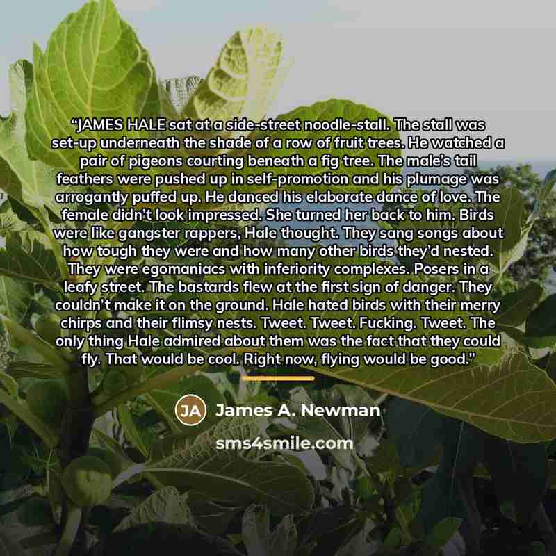 “JAMES HALE sat at a side-street noodle-stall. The stall was set-up underneath the shade of a row of fruit trees. He watched a pair of pigeons courting beneath a fig tree. The male’s tail feathers were pushed up in self-promotion and his plumage was arrogantly puffed up. He danced his elaborate…” quote by James A. Newman