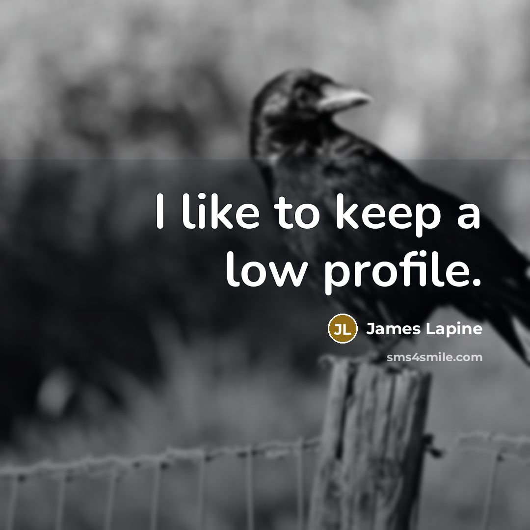 “I like to keep a low profile.” quote by James Lapine