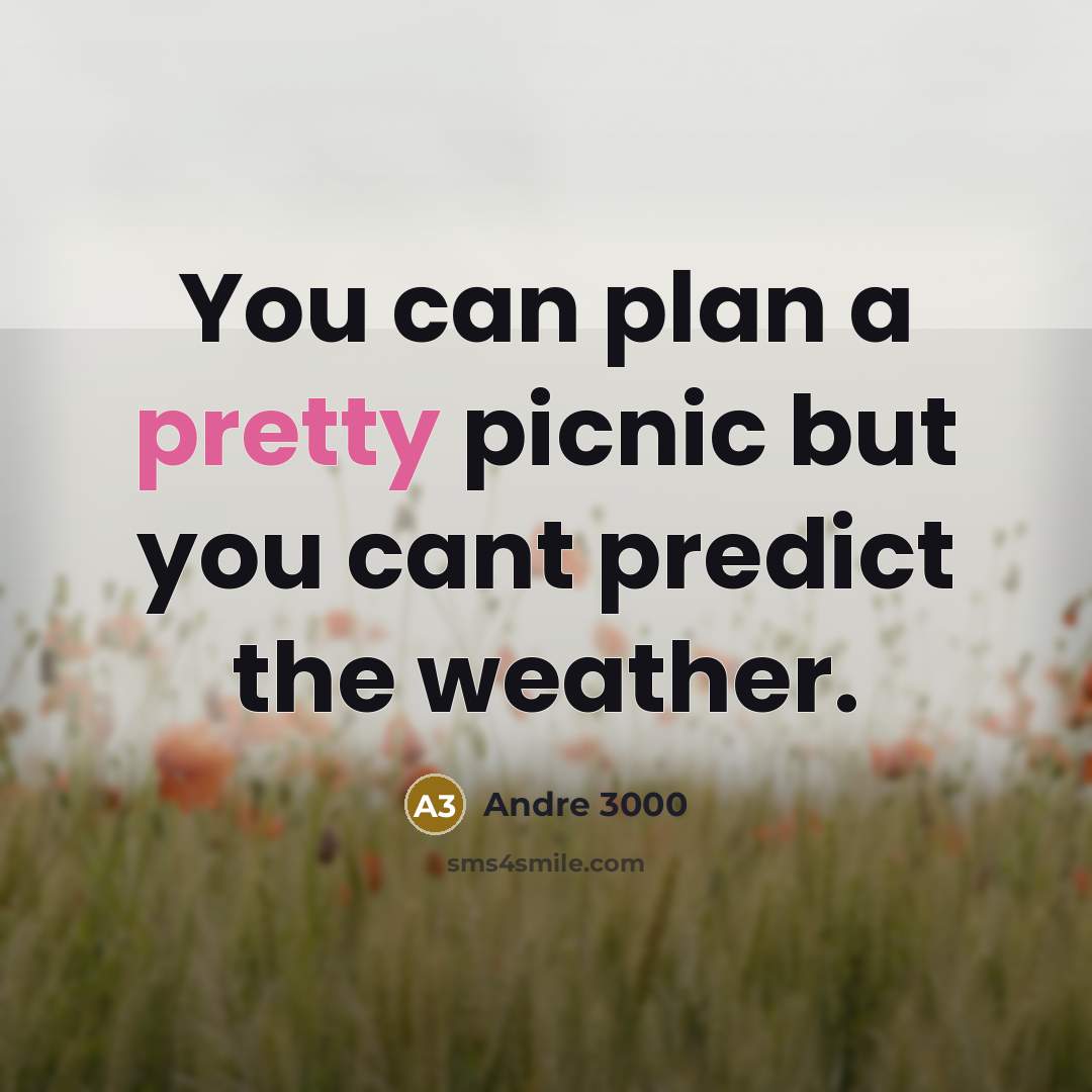 “You can plan a pretty picnic but you cant predict the weather.” quote by Andre 3000