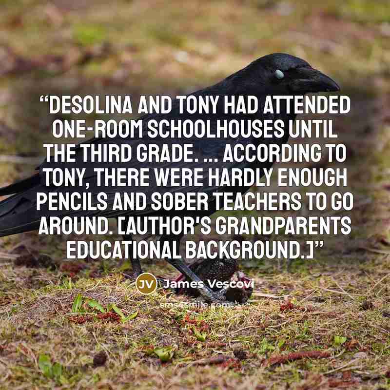 “Desolina and Tony had attended one-room schoolhouses until the third grade. ... According to Tony, there were hardly enough pencils and sober teachers to go around. [Author's grandparents educational background.]” quote by James Vescovi