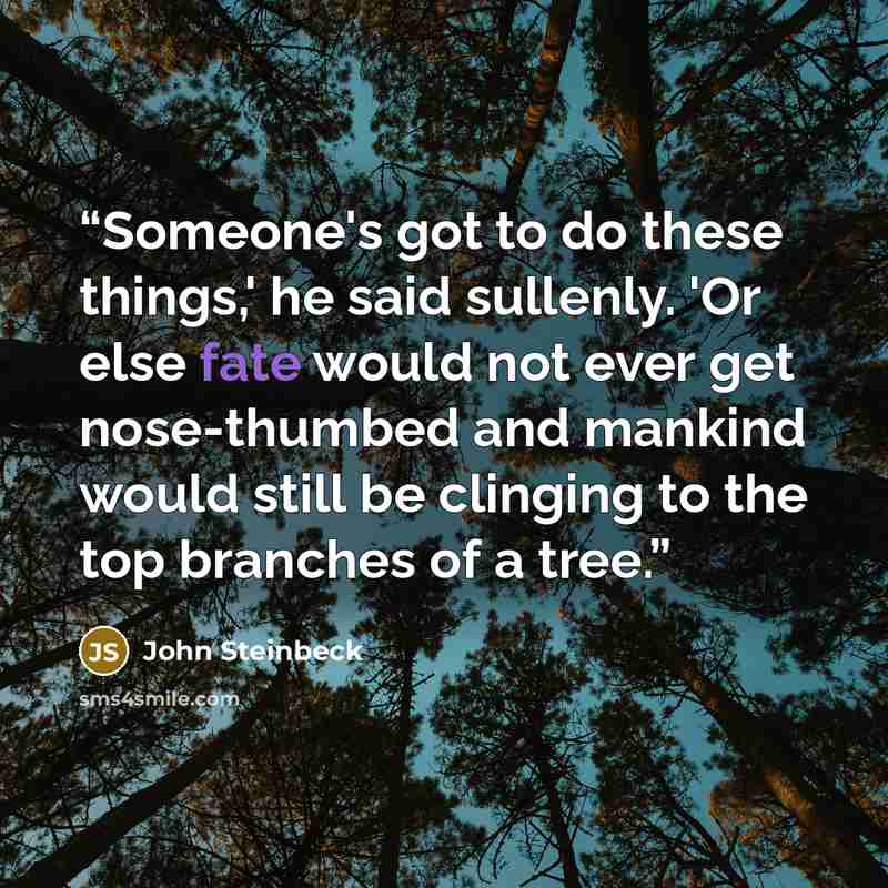 “Someone's got to do these things,' he said sullenly. 'Or else fate would not ever get nose-thumbed and mankind would still be clinging to the top branches of a tree.” quote by John Steinbeck