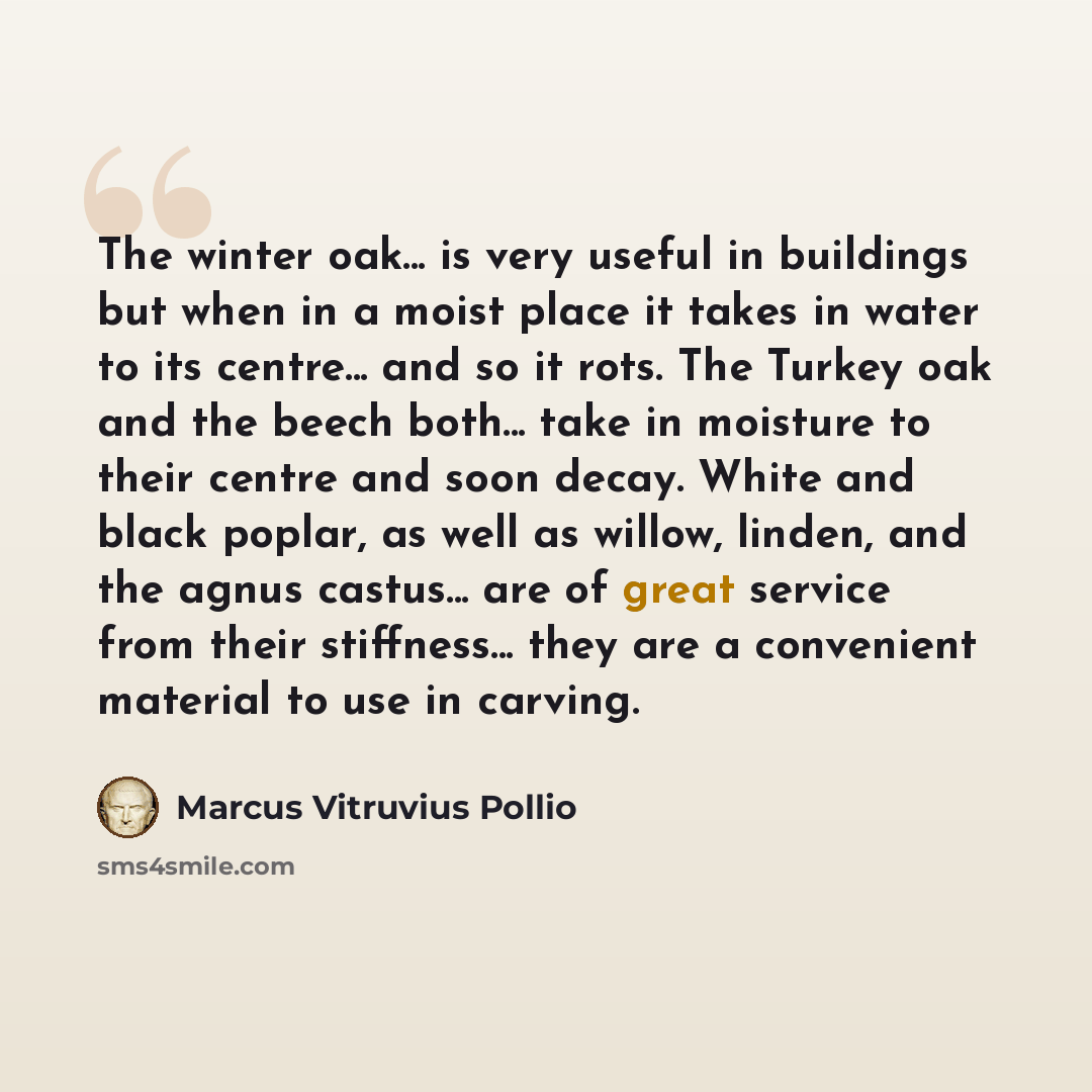 “The winter oak... is very useful in buildings but when in a moist place it takes in water to its centre... and so it rots. The Turkey oak and the beech both... take in moisture to their centre and soon decay. White and black poplar, as well as willow, linden, and the agnus castus... are of great…” quote by Marcus Vitruvius Pollio