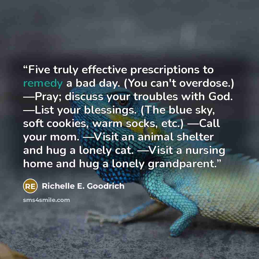 “Five truly effective prescriptions to remedy a bad day. (You can't overdose.) —Pray; discuss your troubles with God. —List your blessings. (The blue sky, soft cookies, warm socks, etc.) —Call your mom. —Visit an animal shelter and hug a lonely cat. —Visit a nursing home and hug a lonely grandparent.” quote by Richelle E. Goodrich