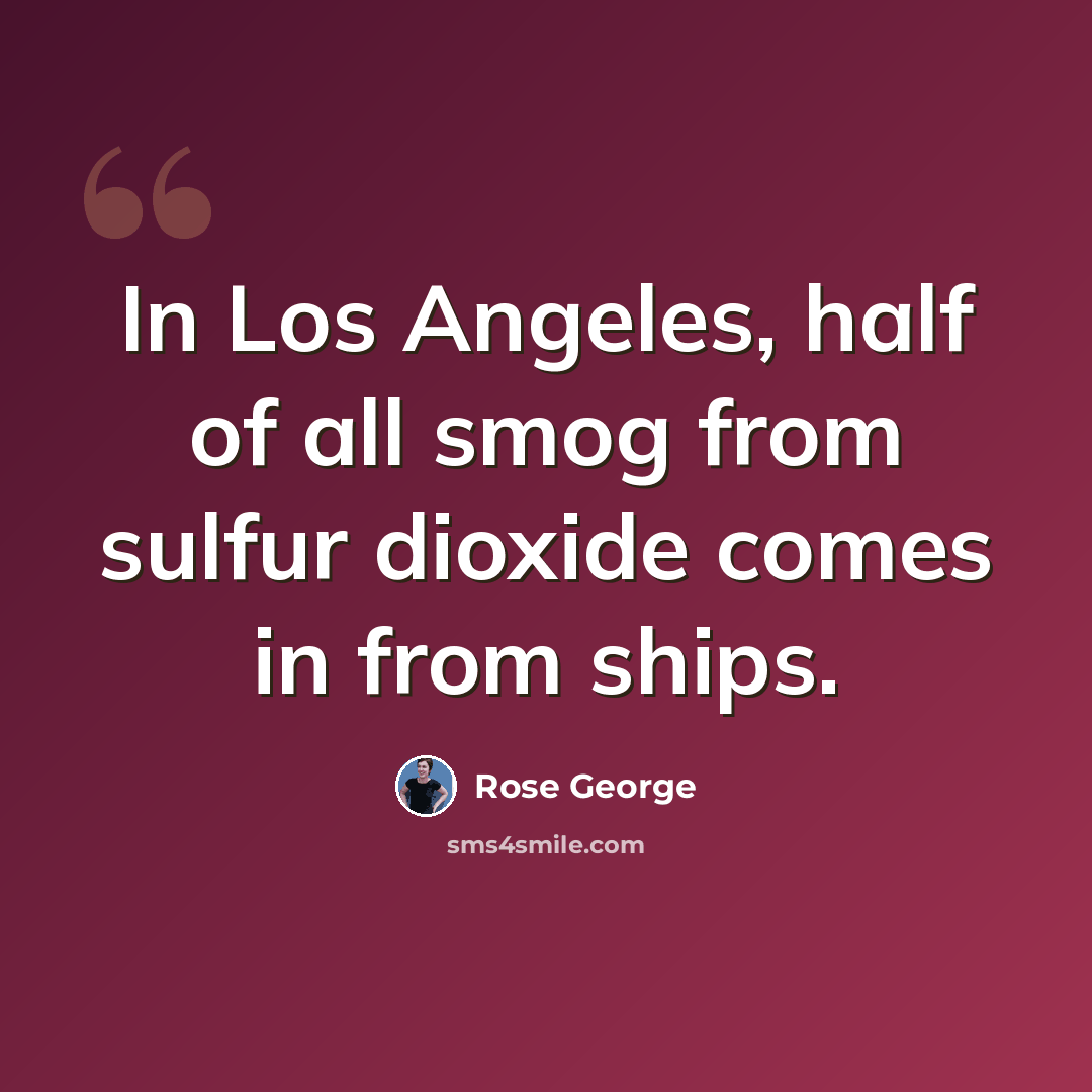 “In Los Angeles, half of all smog from sulfur dioxide comes in from ships.” quote by Rose George
