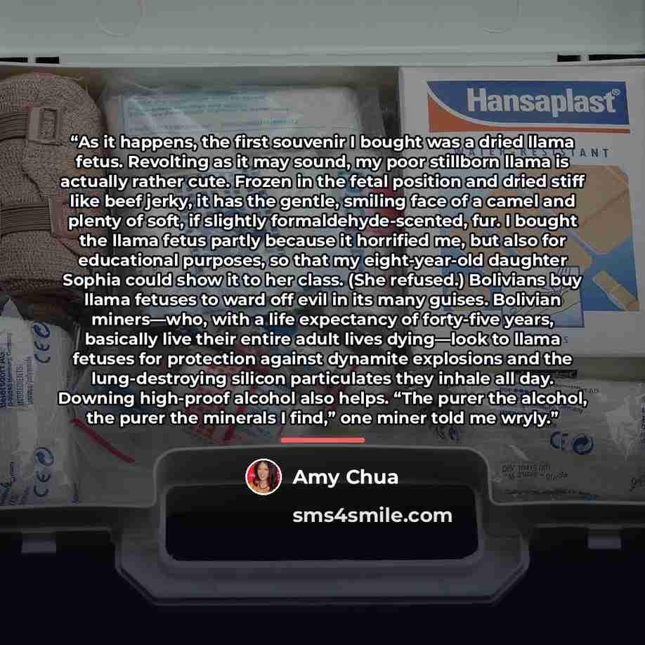 “As it happens, the first souvenir I bought was a dried llama fetus. Revolting as it may sound, my poor stillborn llama is actually rather cute. Frozen in the fetal position and dried stiff like beef jerky, it has the gentle, smiling face of a camel and plenty of soft, if slightly…” quote by Amy Chua