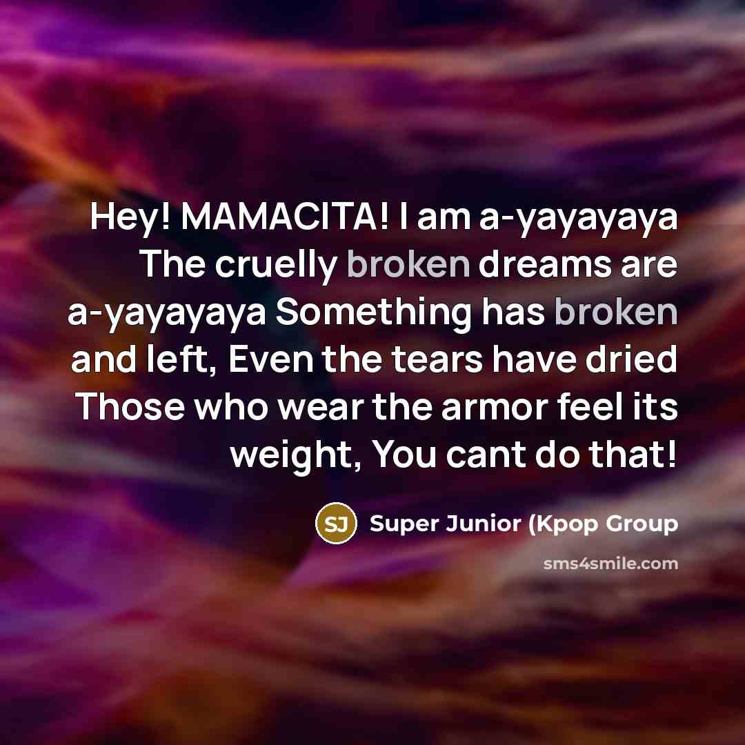 “Hey! MAMACITA! I am a-yayayaya The cruelly broken dreams are a-yayayaya Something has broken and left, Even the tears have dried Those who wear the armor feel its weight, You cant do that!” quote by Super Junior (Kpop Group
