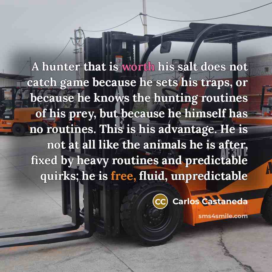 “A hunter that is worth his salt does not catch game because he sets his traps, or because he knows the hunting routines of his prey, but because he himself has no routines. This is his advantage. He is not at all like the animals he is after, fixed by heavy routines and predictable quirks; he is…” quote by Carlos Castaneda