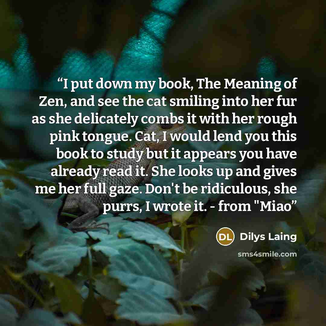 “I put down my book, The Meaning of Zen, and see the cat smiling into her fur as she delicately combs it with her rough pink tongue. Cat, I would lend you this book to study but it appears you have already read it. She looks up and gives me her full gaze. Don't be ridiculous, she purrs, I wrote it…” quote by Dilys Laing