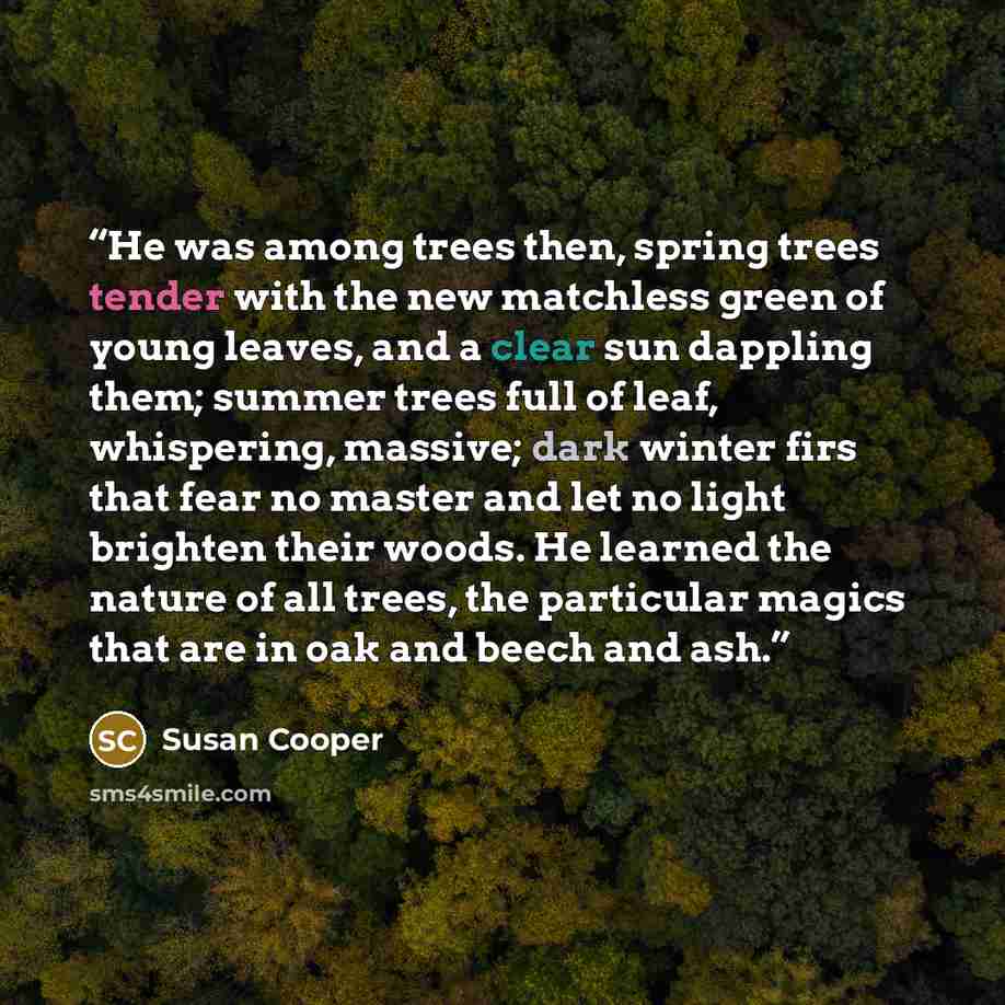 “He was among trees then, spring trees tender with the new matchless green of young leaves, and a clear sun dappling them; summer trees full of leaf, whispering, massive; dark winter firs that fear no master and let no light brighten their woods. He learned the nature of all trees, the particular…” quote by Susan Cooper