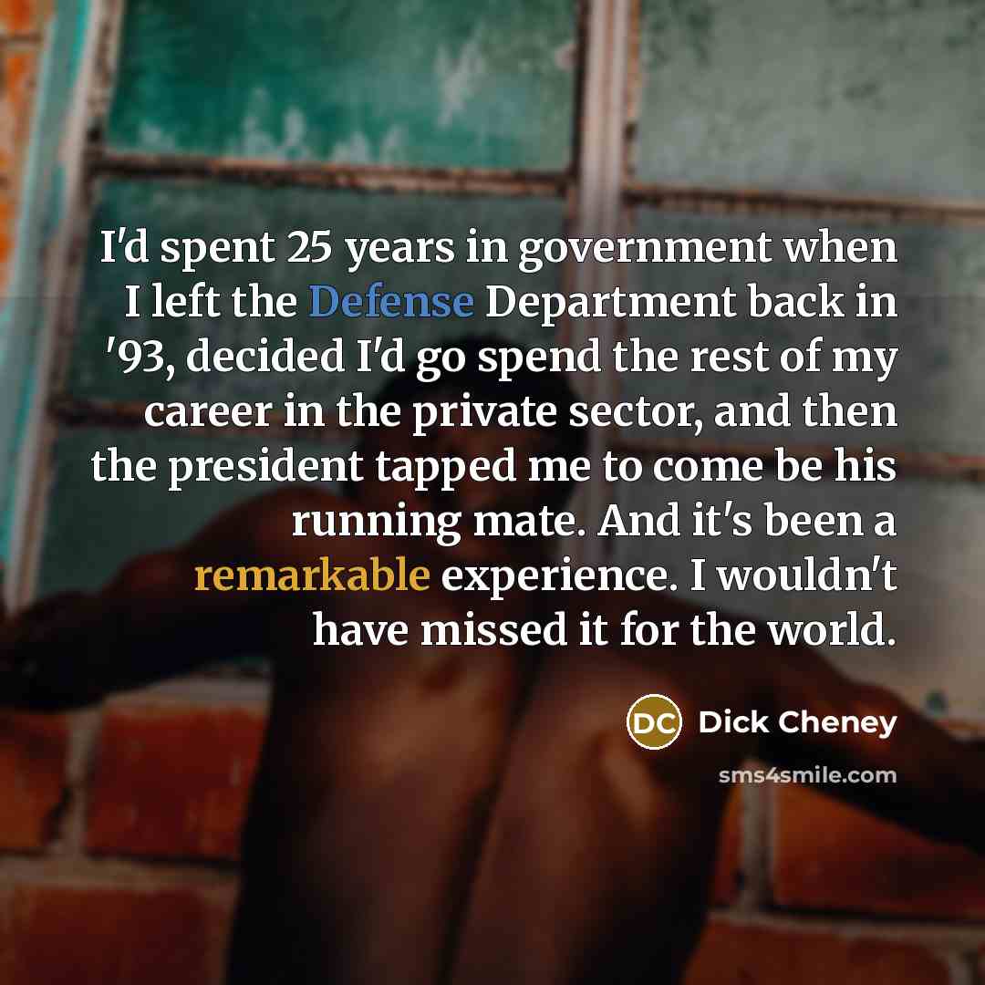 “I'd spent 25 years in government when I left the Defense Department back in '93, decided I'd go spend the rest of my career in the private sector, and then the president tapped me to come be his running mate. And it's been a remarkable experience. I wouldn't have missed it for the world.” quote by Dick Cheney