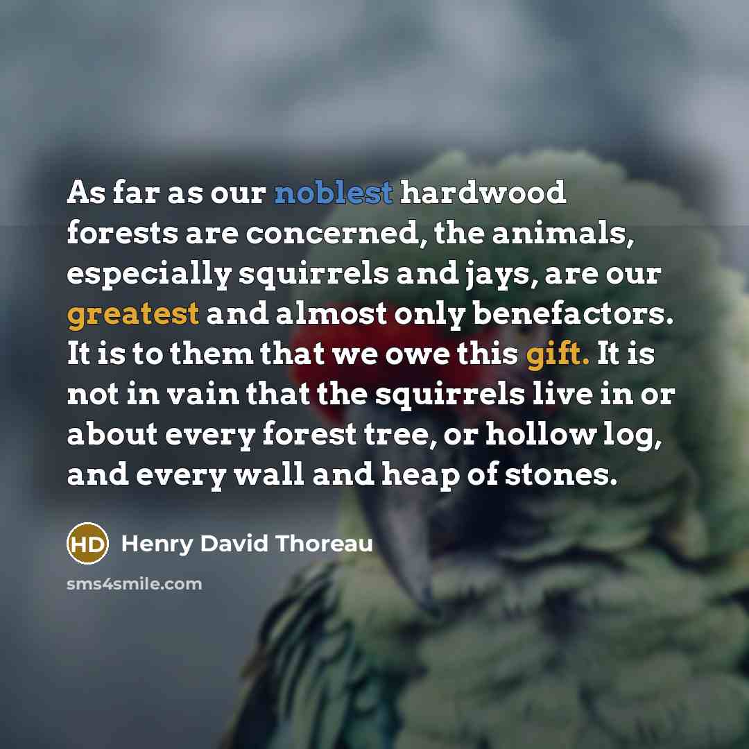“As far as our noblest hardwood forests are concerned, the animals, especially squirrels and jays, are our greatest and almost only benefactors. It is to them that we owe this gift. It is not in vain that the squirrels live in or about every forest tree, or hollow log, and every wall and heap of…” quote by Henry David Thoreau