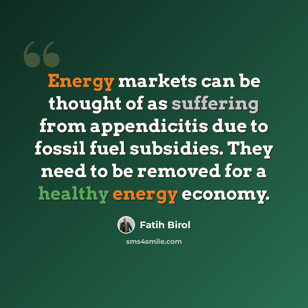 “Energy markets can be thought of as suffering from appendicitis due to fossil fuel subsidies. They need to be removed for a healthy energy economy.” quote by Fatih Birol