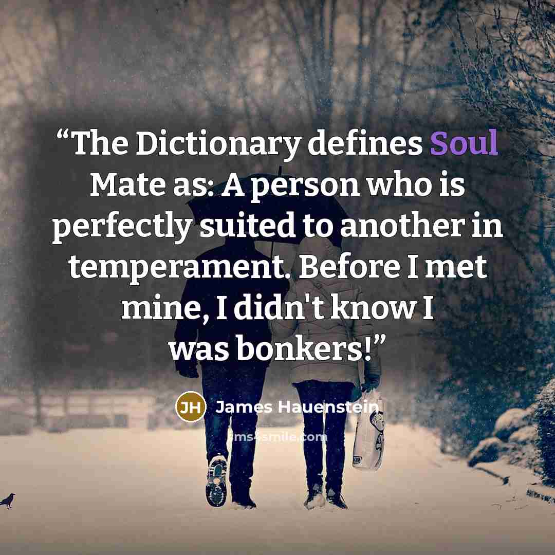 “The Dictionary defines Soul Mate as: A person who is perfectly suited to another in temperament. Before I met mine, I didn't know I was bonkers!” quote by James Hauenstein