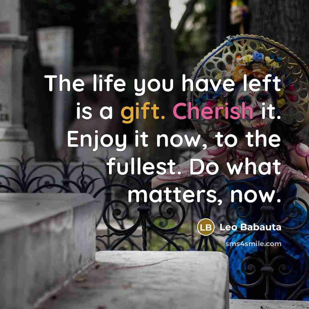 “The life you have left is a gift. Cherish it. Enjoy it now, to the fullest. Do what matters, now.” quote by Leo Babauta
