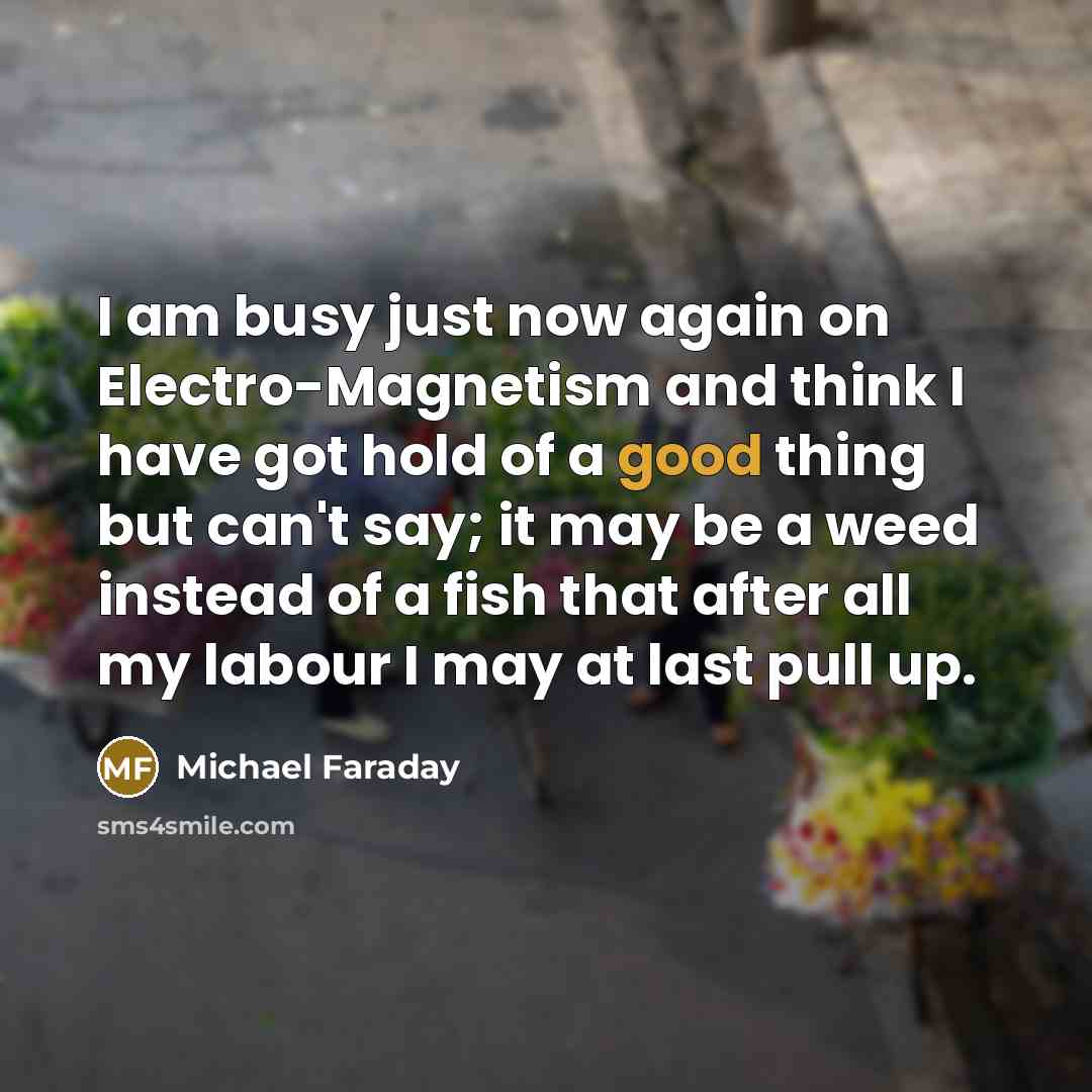 “I am busy just now again on Electro-Magnetism and think I have got hold of a good thing but can't say; it may be a weed instead of a fish that after all my labour I may at last pull up.” quote by Michael Faraday