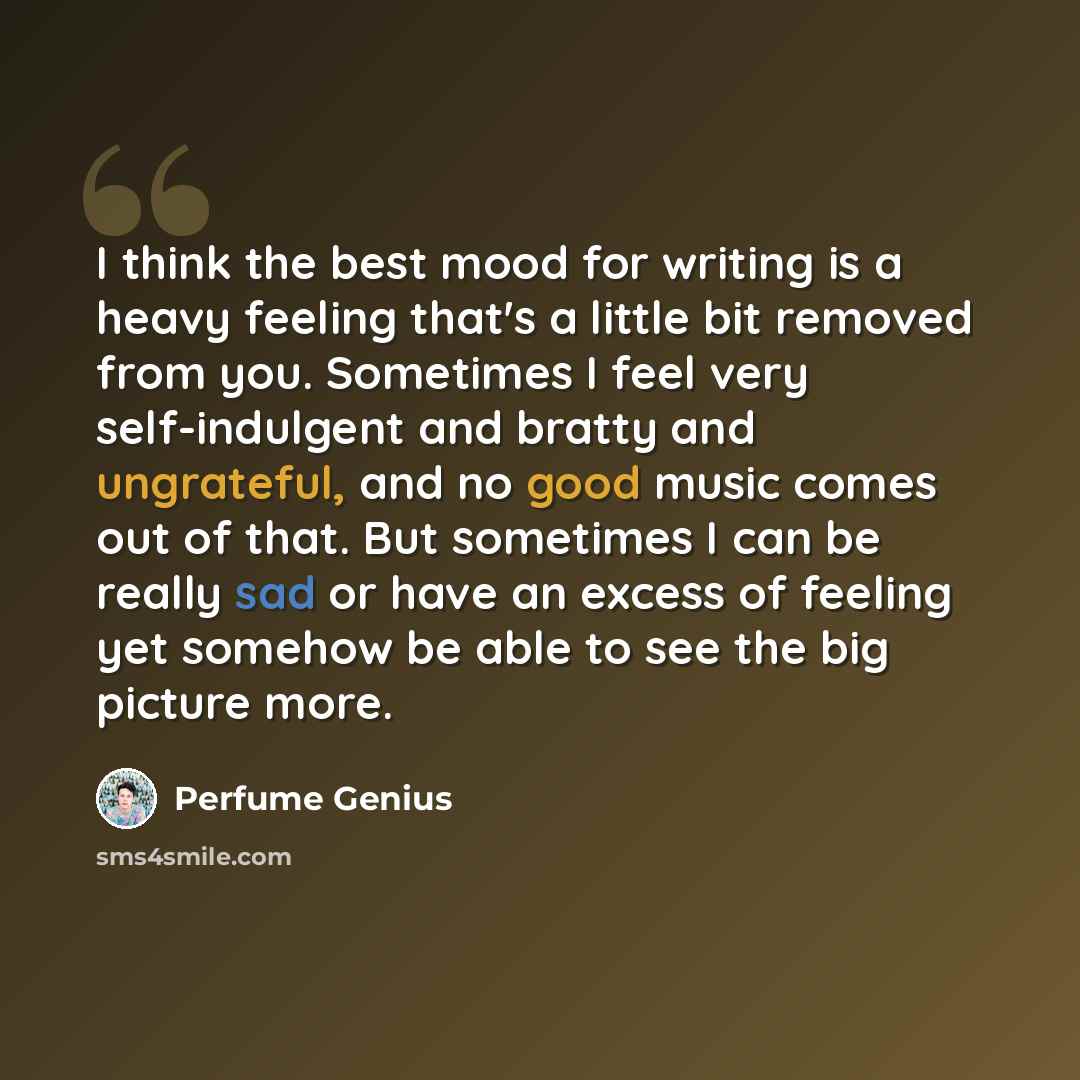 “I think the best mood for writing is a heavy feeling that's a little bit removed from you. Sometimes I feel very self-indulgent and bratty and ungrateful, and no good music comes out of that. But sometimes I can be really sad or have an excess of feeling yet somehow be able to see the big picture…” quote by Perfume Genius