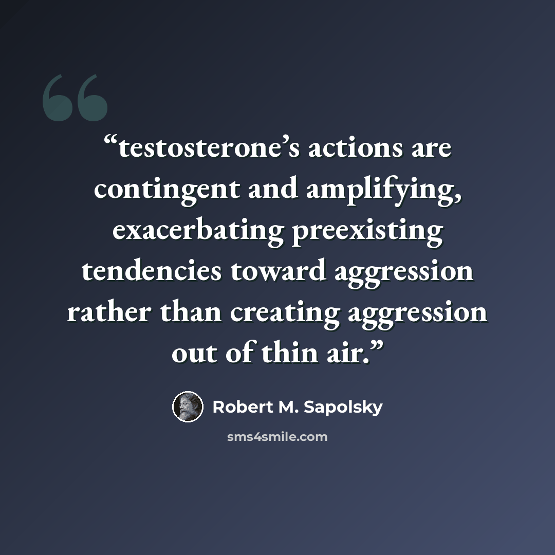 “testosterone’s actions are contingent and amplifying, exacerbating preexisting tendencies toward aggression rather than creating aggression out of thin air.” quote by Robert M. Sapolsky