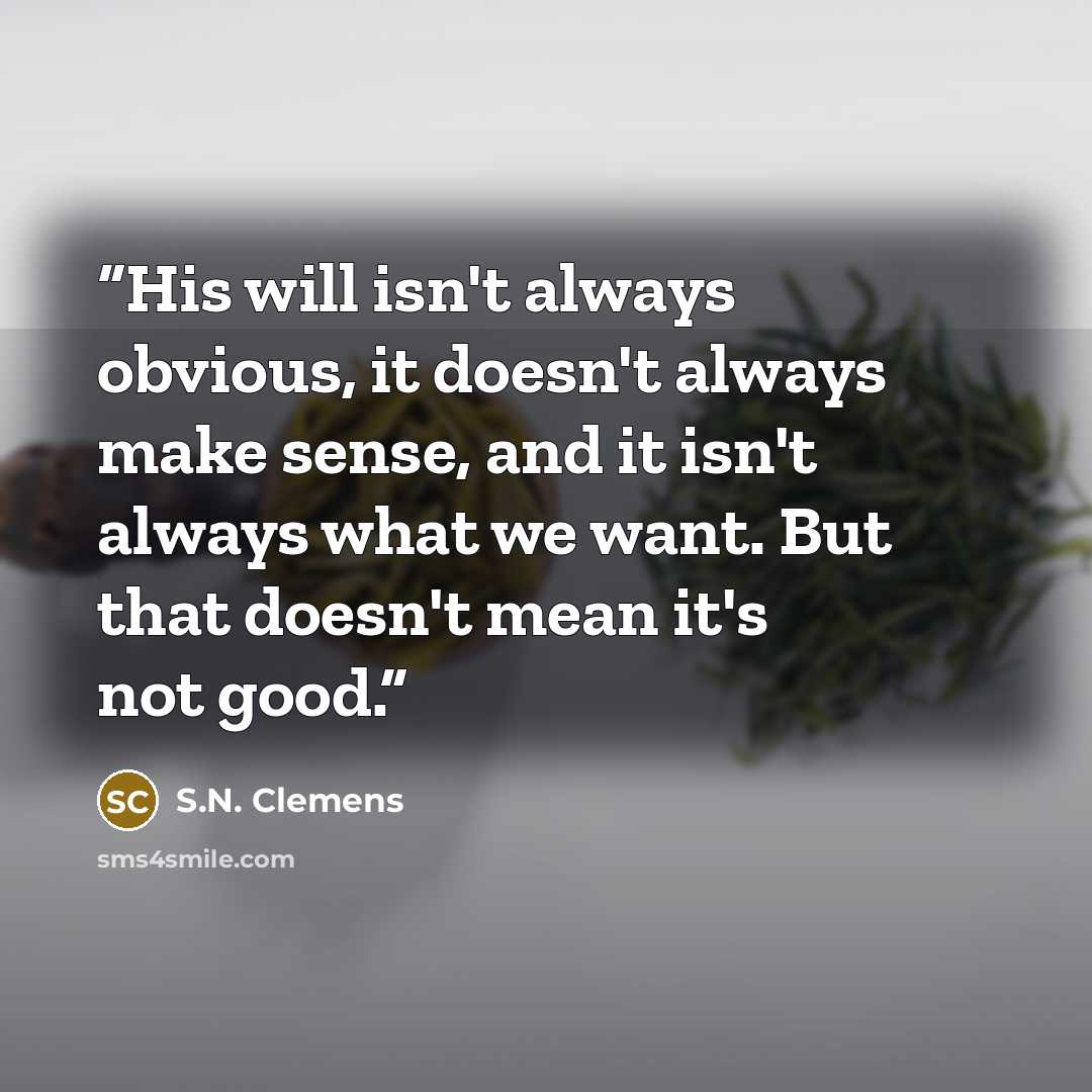 “His will isn't always obvious, it doesn't always make sense, and it isn't always what we want. But that doesn't mean it's not good.” quote by S.N. Clemens