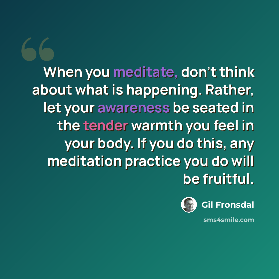“When you meditate, don't think about what is happening. Rather, let your awareness be seated in the tender warmth you feel in your body. If you do this, any meditation practice you do will be fruitful.” quote by Gil Fronsdal
