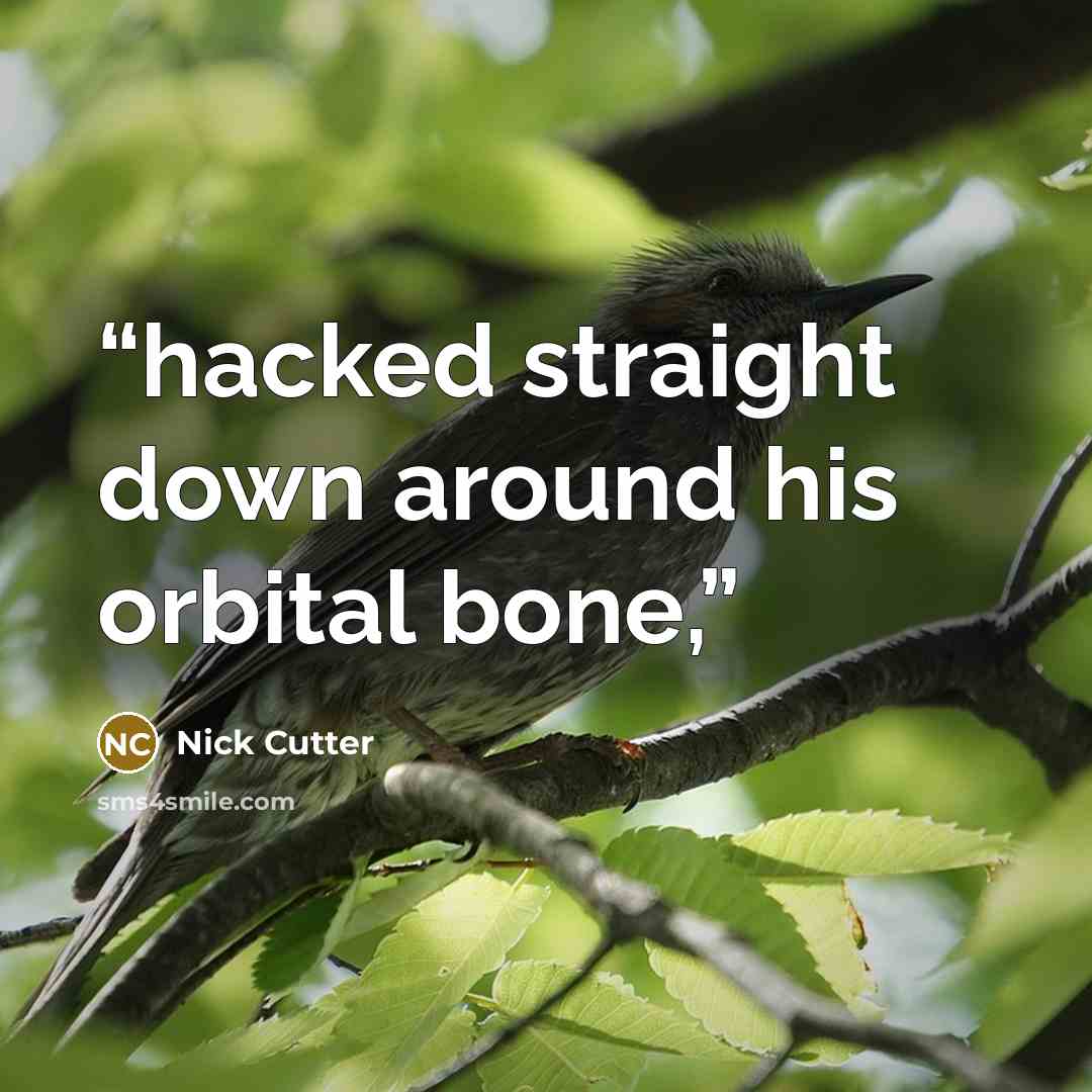 “hacked straight down around his orbital bone,” quote by Nick Cutter