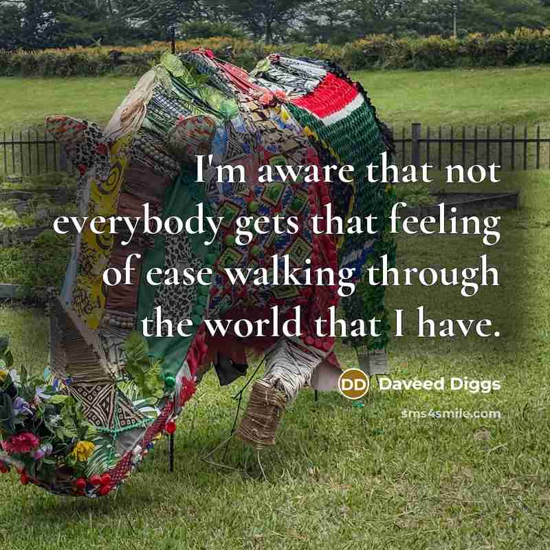 “I'm aware that not everybody gets that feeling of ease walking through the world that I have.” quote by Daveed Diggs