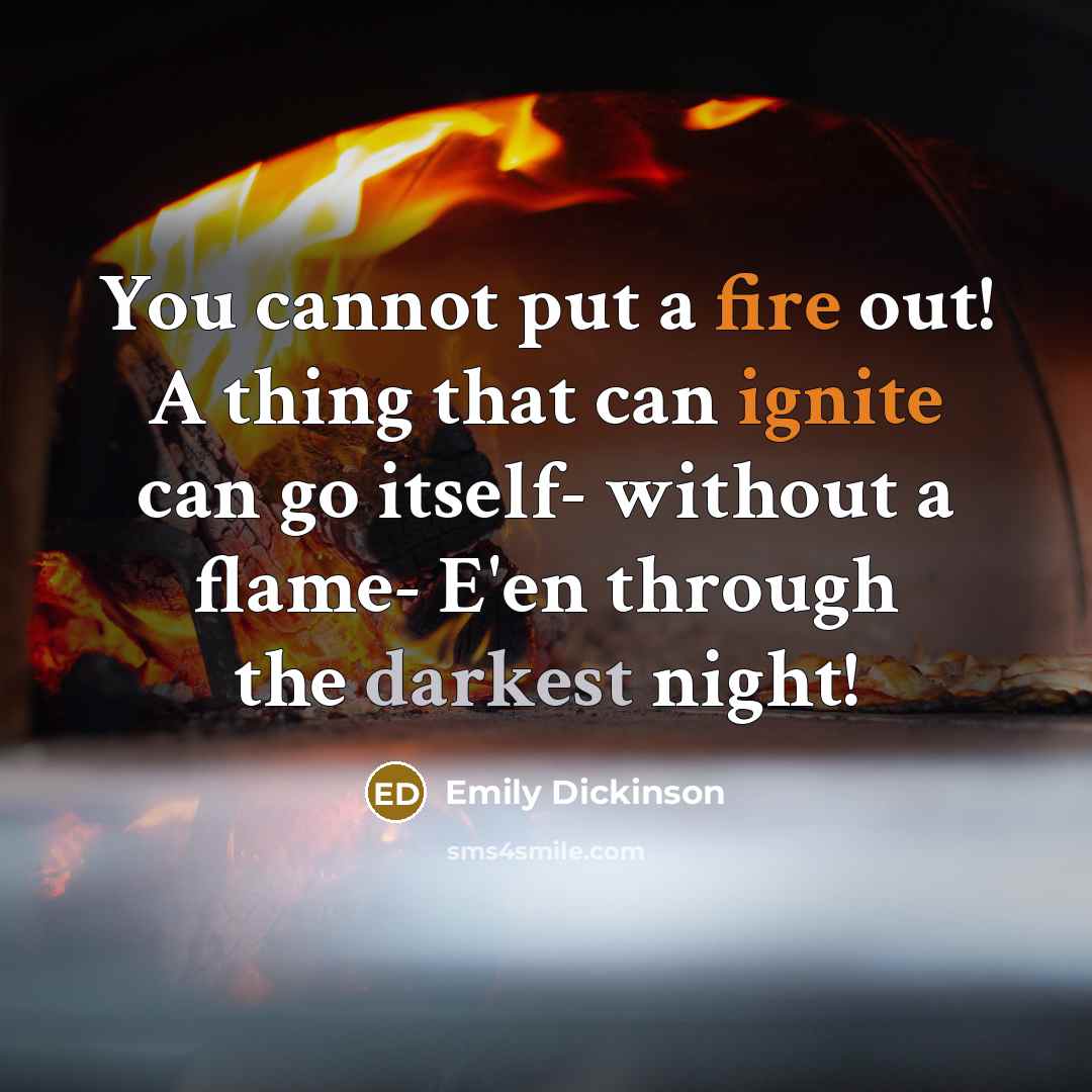 “You cannot put a fire out! A thing that can ignite can go itself- without a flame- E'en through the darkest night!” quote by Emily Dickinson