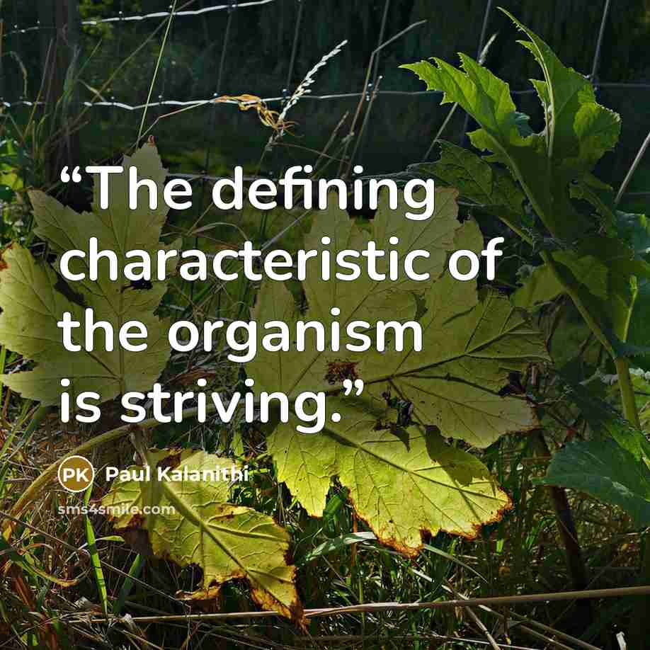 “The defining characteristic of the organism is striving.” quote by Paul Kalanithi