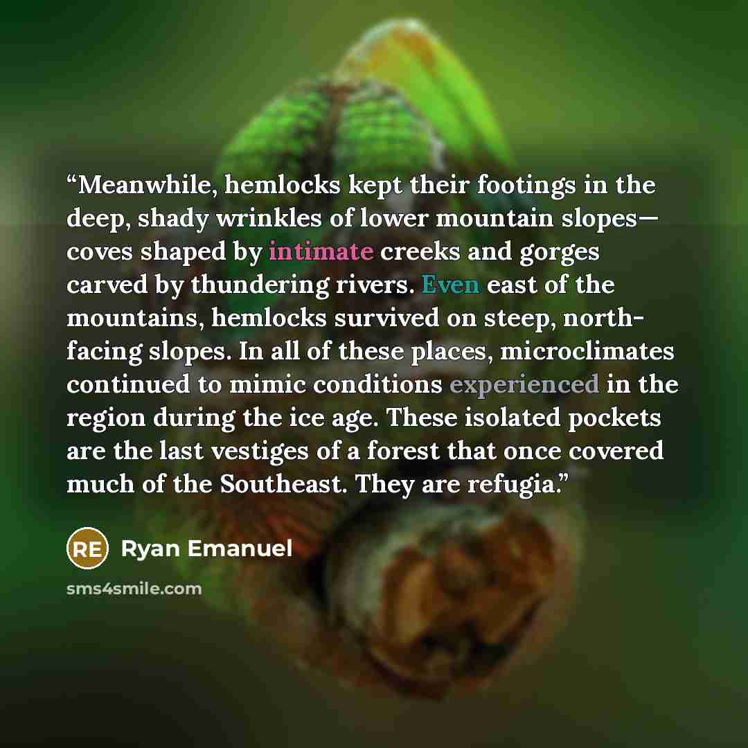 “Meanwhile, hemlocks kept their footings in the deep, shady wrinkles of lower mountain slopes— coves shaped by intimate creeks and gorges carved by thundering rivers. Even east of the mountains, hemlocks survived on steep, north- facing slopes. In all of these places, microclimates continued to…” quote by Ryan Emanuel