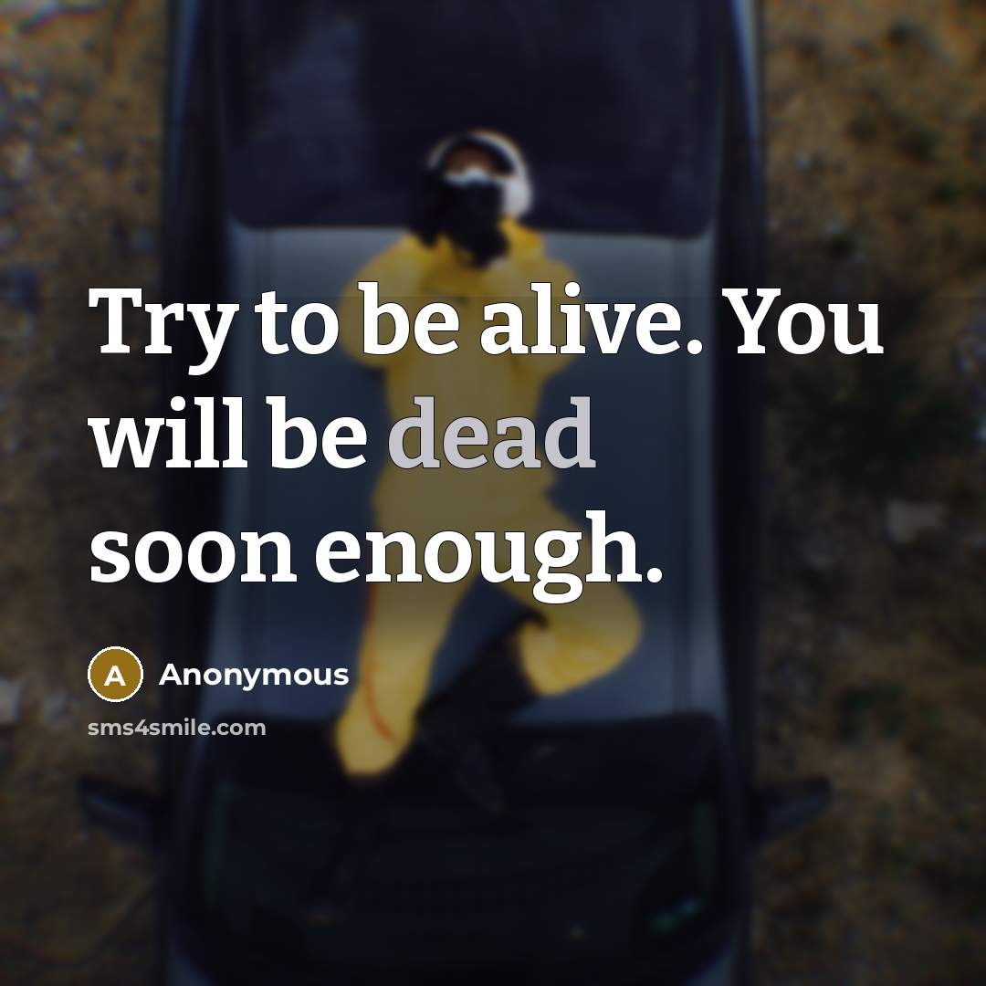 “Try to be alive. You will be dead soon enough.” quote by Anonymous