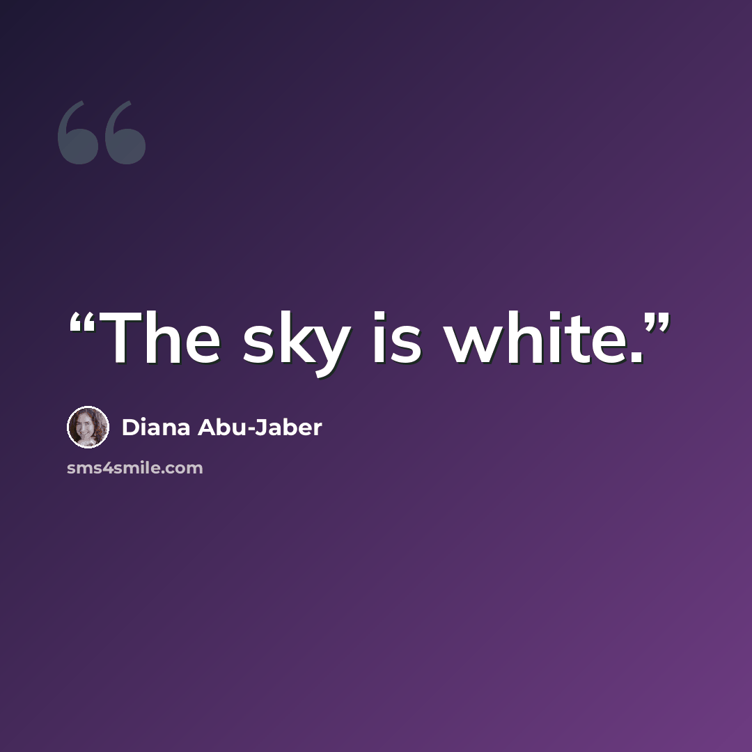 “The sky is white.” quote by Diana Abu-Jaber