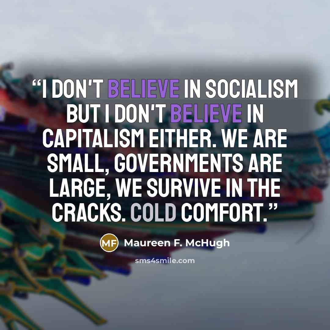 “I don't believe in socialism but I don't believe in capitalism either. We are small, governments are large, we survive in the cracks. Cold comfort.” quote by Maureen F. McHugh