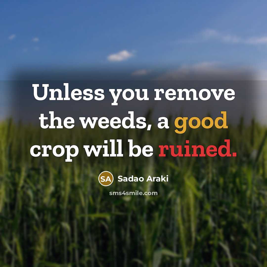 “Unless you remove the weeds, a good crop will be ruined.” quote by Sadao Araki