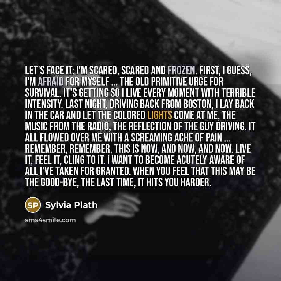 “Let's face it: I'm scared, scared and frozen. First, I guess, I'm afraid for myself ... the old primitive urge for survival. It's getting so I live every moment with terrible intensity. Last night, driving back from Boston, I lay back in the car and let the colored lights come at me, the music…” quote by Sylvia Plath