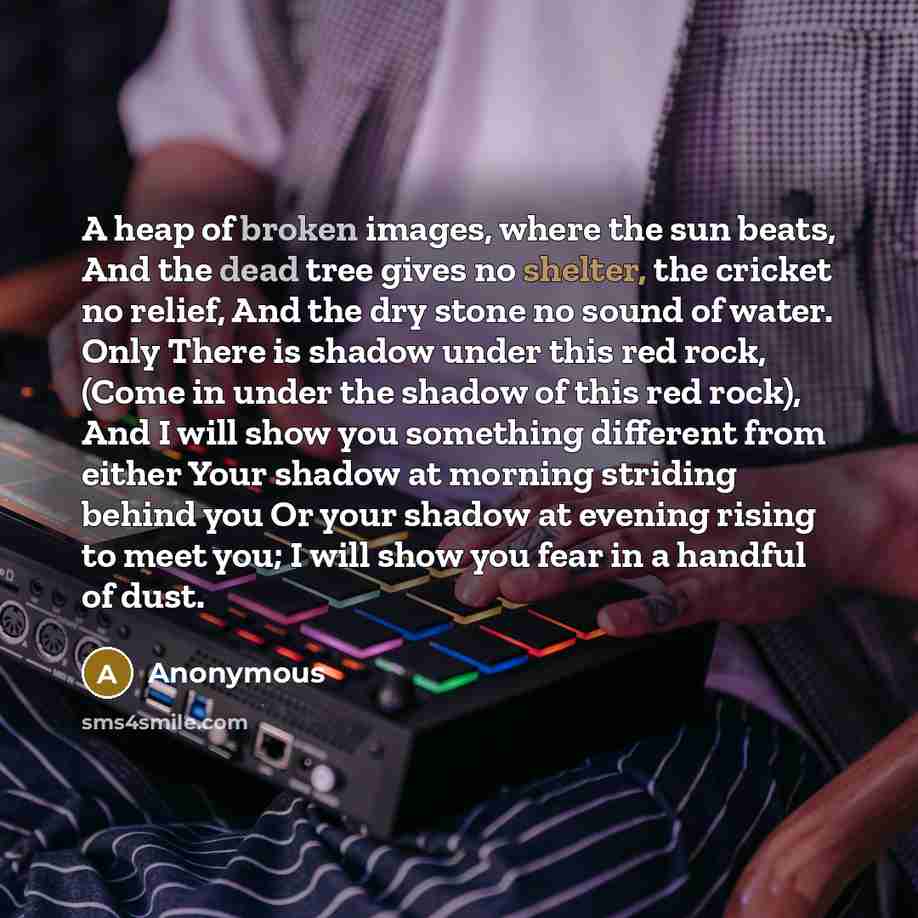 “A heap of broken images, where the sun beats, And the dead tree gives no shelter, the cricket no relief, And the dry stone no sound of water. Only There is shadow under this red rock, (Come in under the shadow of this red rock), And I will show you something different from either Your shadow at…” quote by Anonymous