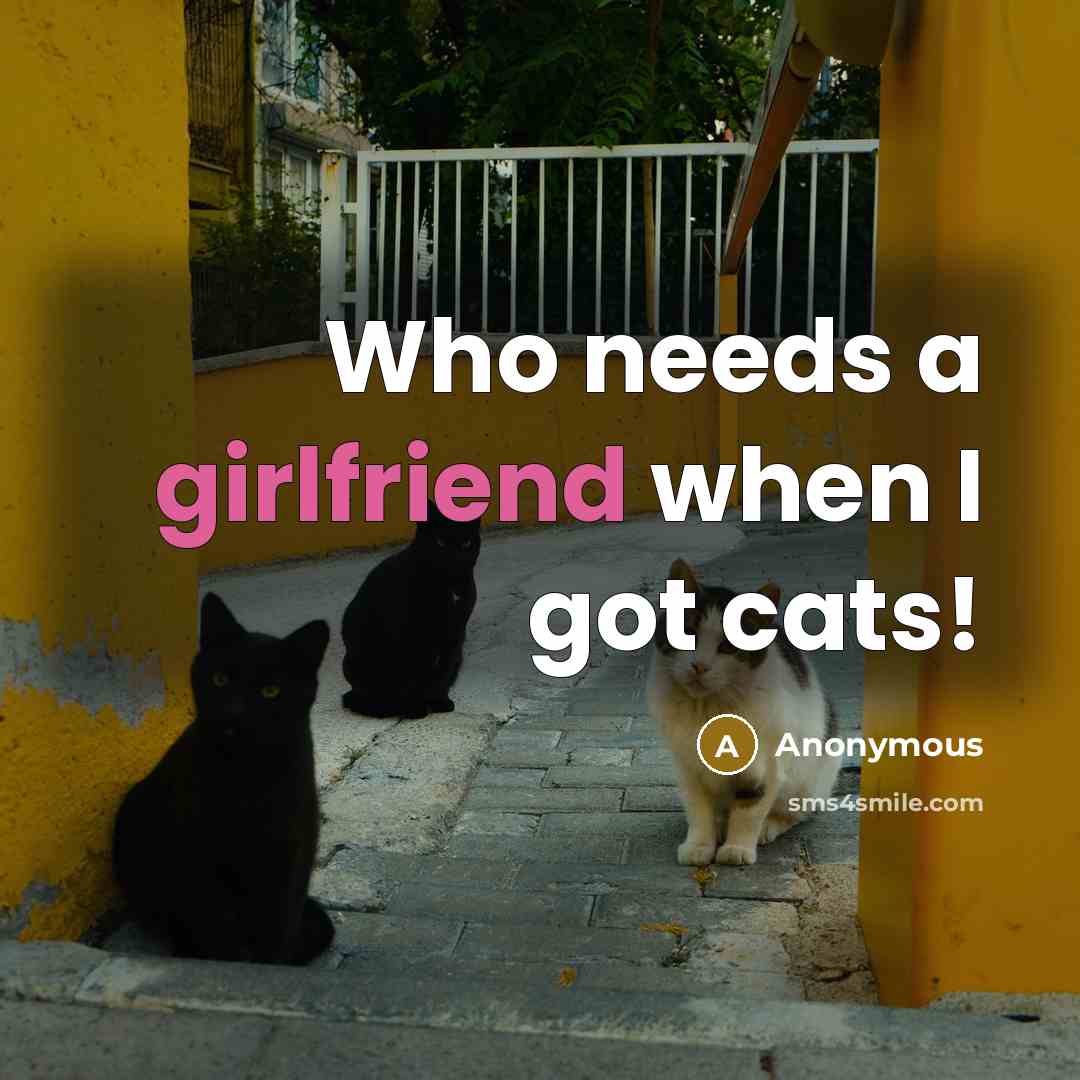 “Who needs a girlfriend when I got cats!” quote by Anonymous