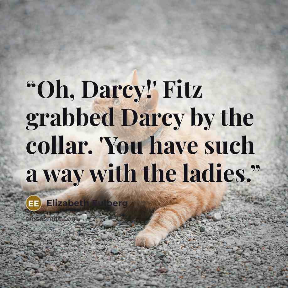“Oh, Darcy!' Fitz grabbed Darcy by the collar. 'You have such a way with the ladies.” quote by Elizabeth Eulberg