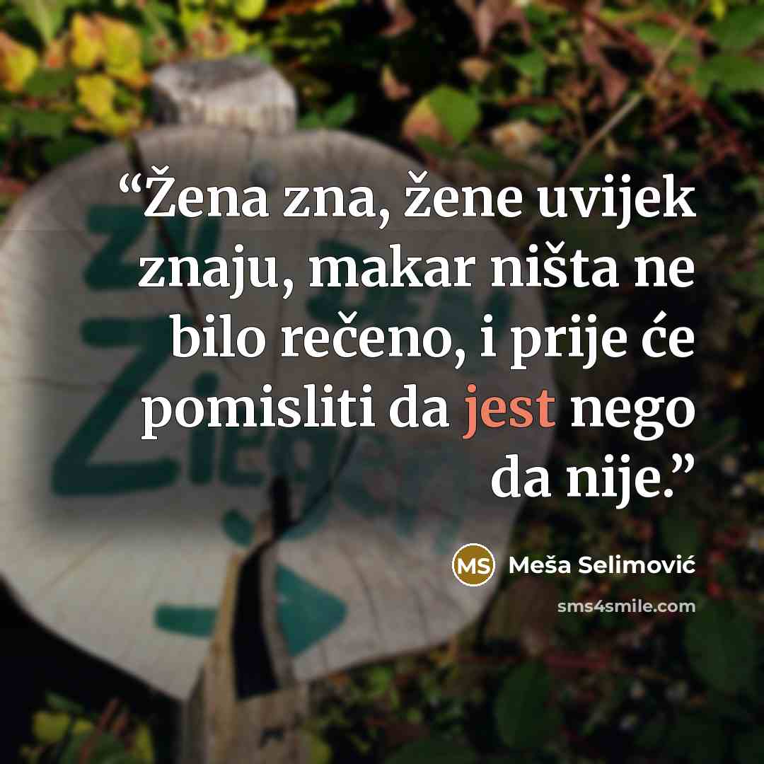 “Žena zna, žene uvijek znaju, makar ništa ne bilo rečeno, i prije će pomisliti da jest nego da nije.” quote by Meša Selimović